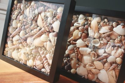 Craft Ideas Seashells on Check Out These Seashell Shadowboxes That Karla From It   S The